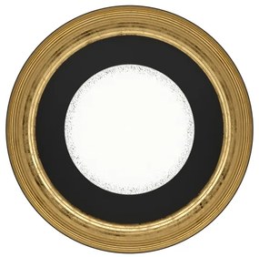 Eglo 98527 - Plafonieră LED dimabilă CANICOSA LED/24,5W/230V cu DO