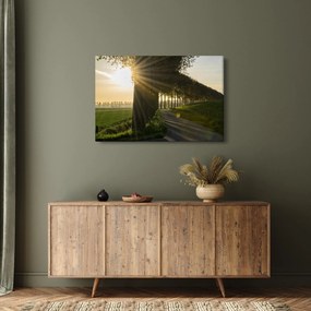 Tablou cu alee (90x60 cm)