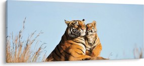 Tablou - Tigroaica cu pui (120x50 cm)