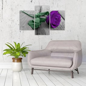 Tablou - Trandafir violet cu tulpina verde (90x60 cm)