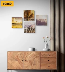 Set tablouri frumusețile naturale