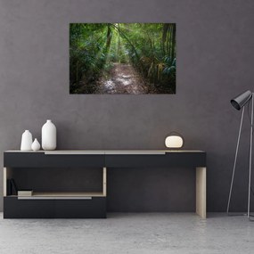 Tablou - Razele solare în junglă (90x60 cm)
