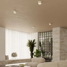 Sollux SL.2442 - Lampă spot MODO 1xGX53/10W/230V crem