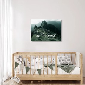 Tablou pe sticlă - Lamas la Machu Picchu în Peru (70x50 cm)