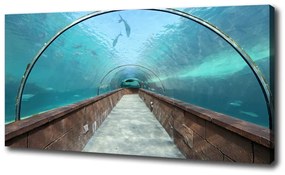 Print pe canvas Acvariul tunel