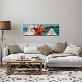 Tablou cu stea de mare (cu ceas) (90x30 cm)
