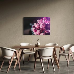 Tablou cu florile copacilor (90x60 cm)