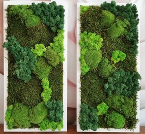 Tablou vegetal din licheni si muschi stabilizati 60x30cm