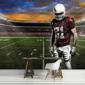 Fototapet - Stadionul american de fotbal (152,5x104 cm)