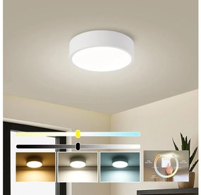 Brilagi - Plafonieră LED POOL, 18W, 230V, 3000/4500/6000K, Ø 20 cm, albă