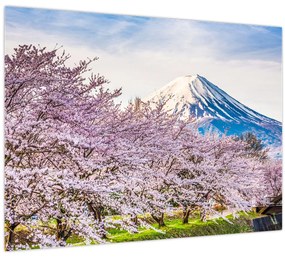 Tablou pe sticlă - Japonia în primăvară (70x50 cm)