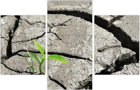 Tablou - Fisuri (90x60 cm)