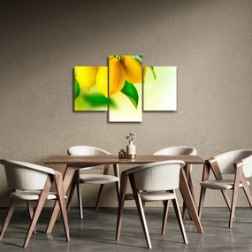 Tablou cu lămâi (90x60 cm)