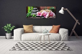 Tablou pe panza canvas Bamboo pietre Flori Floral Verde Gri Roz