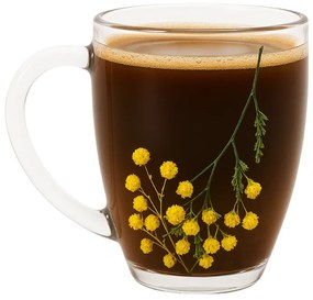 Set 6 Cani Cafea Sticla Perete Dublu Flori Uscate 250 ML