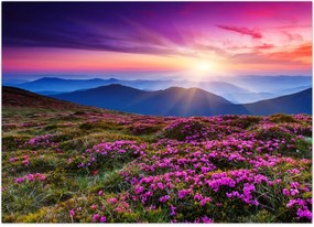 Tablou - Munte înflorit peisaj (70x50 cm)