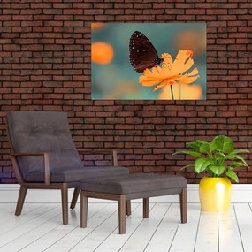 Tablou - fluture pe o floare portocalie (90x60 cm)