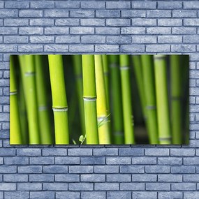 Tablouri acrilice Bamboo Natura Verde