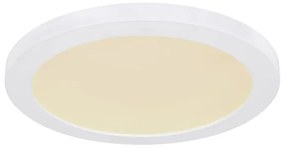 Plafonieră LED Globo 12379-24W LASSE LED/24W/230V