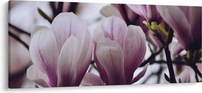 Tablou - Magnolie (120x50 cm)