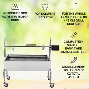 Sauerland gratar carne de porc cu motor de rotisor