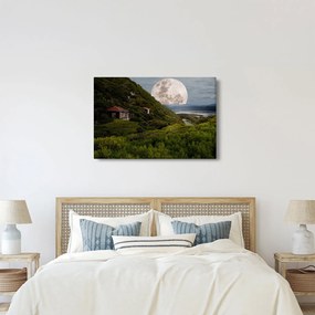 Tablou - peisaj cu luna (90x60 cm)