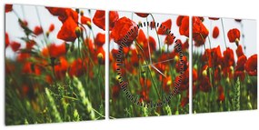 Tablou - Maci în vânt (cu ceas) (90x30 cm)