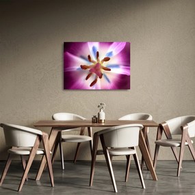 Tablou pe sticlă - Laleaua detailat (70x50 cm)