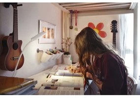 Ledvance - Lampă de birou LED tactilă dimabilă PANAN LED/5,2W/5V