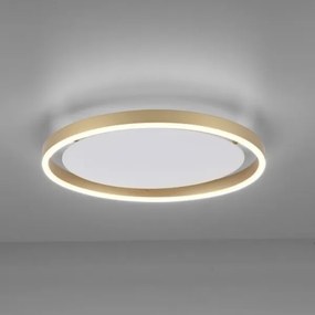 Plafonieră LED dimabilă RITUS LED/20W/230V Leuchten Direkt 15391-60