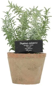 Plantă artificială (înălțime 21,5 cm) Thyme – Esschert Design