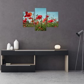 Tablou - Pe câmpul cu maci (90x60 cm)