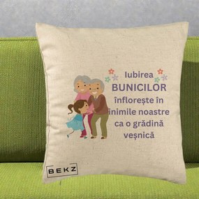 Cadou pentru Bunici - Perna Personalizata Bunicii Iubirea Infloreste Bunici cu Nepoata Colorat, 40x40 cm, Bej, Husa Detasabila, Perna Inclusa, BEKZ®