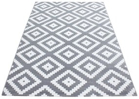 Covor gri deschis 120x170 cm Plus – Ayyildiz Carpets