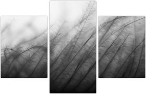 Tablou - Iarba în vânt (90x60 cm)