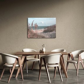 Tablou - Plaja roz (70x50 cm)