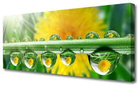 Tablou pe panza canvas Stem Picături de rouă Floral Verde