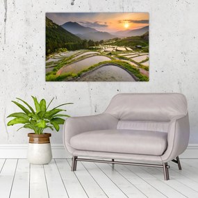 Tablou - Terase de orez (90x60 cm)