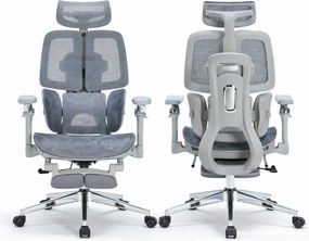 DeluxStar T10 Premium – Scaun ergonomic, cotiere 6D ultra moi, Suport Lombar 3 Zone Dinamice, Spătar ajustabil pe inaltime, Sezut Translatie, Tetiera 4D, mecanism multifunctional inclinare/blocare, pivotant, Mesh, Gri