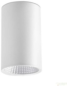 Plafonier, spot alb cu iluminat LED, REL-G 64200