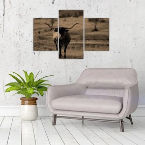 Tablou - Vacă din Texas (90x60 cm)