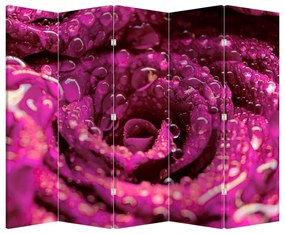 Paravan - Floarea trandafirului roz (210x170 cm)