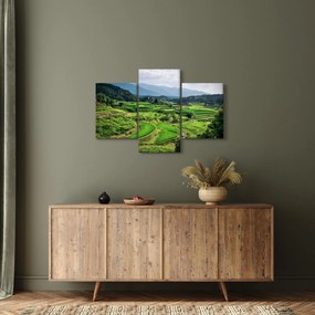 Tablou cu câmp de orez (90x60 cm)
