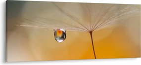 Tablou - Flori macro (120x50 cm)