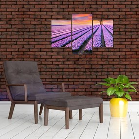 Tablou - ferma cu flori (90x60 cm)