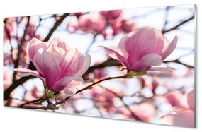 Tablouri acrilice copac magnolie