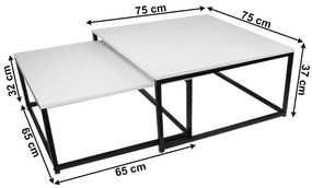 Set 2 buc măsuțe cafea Hustler Typ 1 (alb mat + negru). 1075386