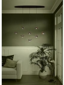 Lustră LED dimabilă pe cablu Eglo 390055 PARATEBUENO 8xLED/4,2W/230V negru