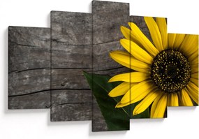 Tablou - Floare de floarea soarelui (150x105 cm)