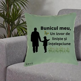Cadou pentru Bunic - Perna Personalizata Bunicul Meu Izvor de Liniste cu Fluture si Baietel, 40x40 cm, Verde, Husa Detasabila, Perna Inclusa, BEKZ®